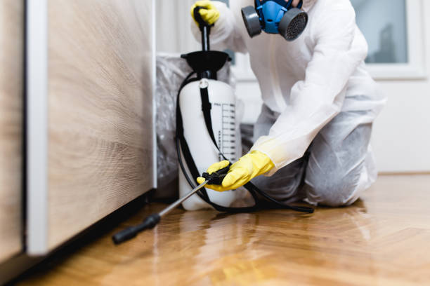 Best Emergency Pest Control  in Desloge, MO