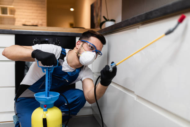 Best Flea Control Services  in Desloge, MO