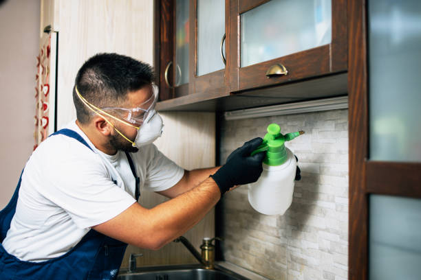 Flea Control Services in Desloge, MO