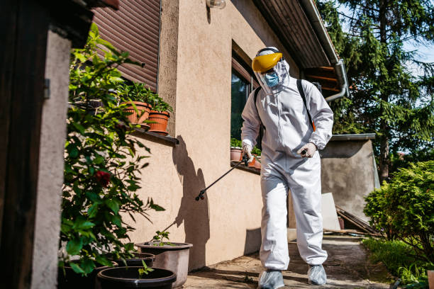 Best Cockroach Control Services  in Desloge, MO