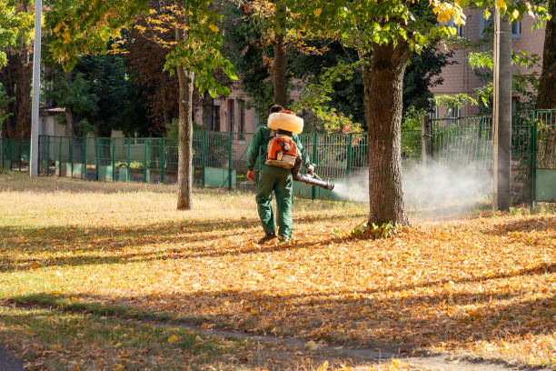 Best Pest Prevention Services  in Desloge, MO