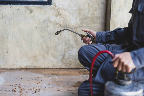 Best Ant Control Services  in Desloge, MO