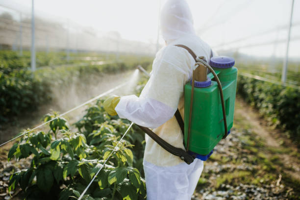  Desloge, MO Pest Control Pros